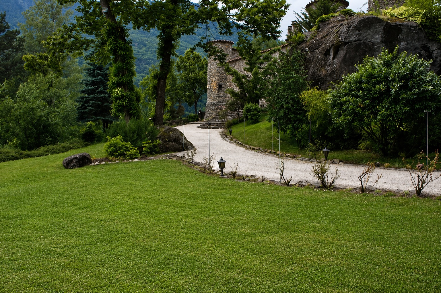 jardin chat